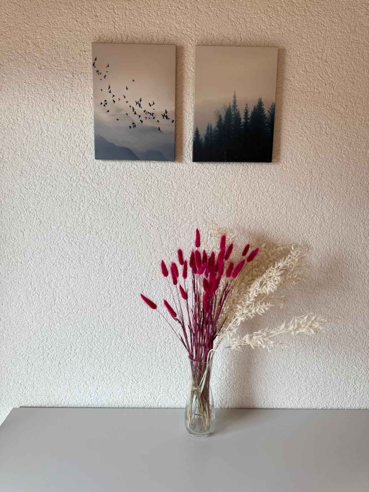 Eva's Seeblick Apartment *